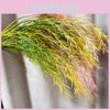 Phalaris Artificial Arundinacea Floral Decor For Living Room And Photo Prop