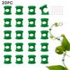 Multipurpose Plastic Plant Clips For Climbing Vine Secure Garden Wall Growth System Outdoor Indoor Gardening Accessories