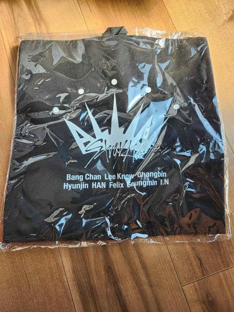 [USED] Not Available × Stray Kids ALL IN Fan Case