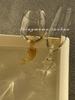 Fish Handle Glass Wine Goblet Glass Cup Champagne Coupes Water Tumbler 300ml