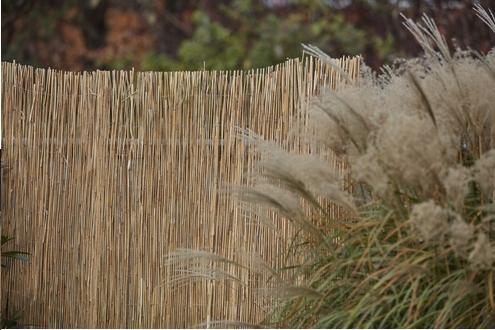 Bamboo Cover for Balcony and Terrace 300x100 Cm