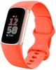 Fitbit Charge 6 Coral/Champagne Gold