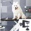 Y5JC Professional Pet Care Clamp Stabilizers For Grooming Stations Blow Dryer Holder