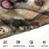 1Pc Lhasa Marejus Dog Print Flannel Blanket, High quality Comfortable for All Seasons, Home Decor, Warmth and Comfort, Perfect for Gifts