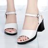 Summer Shoes for Women Fashion High Heel Sandals Peep Toe Buckle Strap Black White Platform Sandals Plus Size 35-40