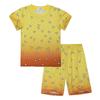 Demon Slayer Kyojuro Rengoku Flame Hashira 2-Piece Set Short Sleeve T-shirt and Matching Shorts Anime Print Casual Loungewear