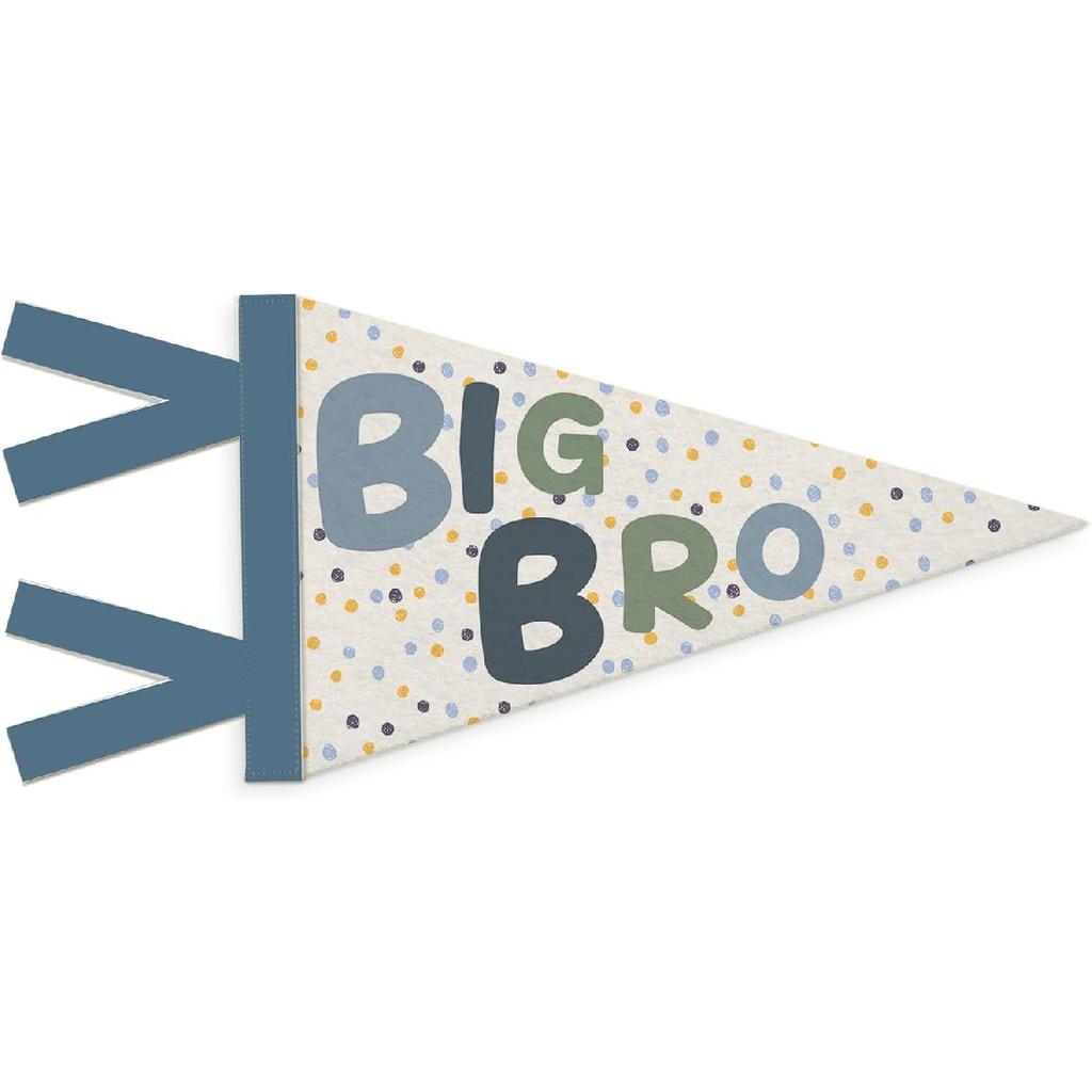 Boys Room Decor, Long Live Boyhood Wall Hanging Pennant Flag Banner, Preppy Neutral Checkerboard Wall Decorations for Nursery Toddler Boys Bedroom