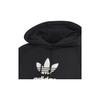 Adidas Originals Adicolour Premium Hoodie Men Black FM9913