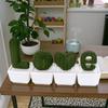 3D Printed Cactus Green Plant Ornament - Creative Home Decoration Craft