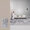 Light Luxury Bedroom Decor Plush Carpet Large Size Carpets for Living Room Thick Lounge Washable Floor Mat Fluffy Soft Study Rug