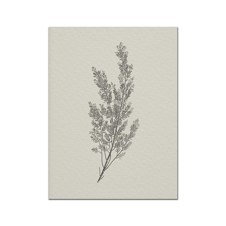 Botanical Posters Prints Abstract Leaves Canvas Painting Vintage Beige Wall Art Pictures Modern Living Room Home Decor