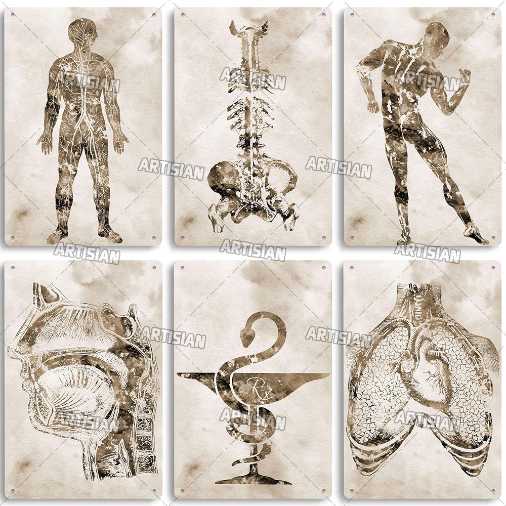 Placca Metallica Artigianale Clinica Dentista Cartello in Latta Anatomia Piatto Decorativo Medico Ospedale Chirurgia Dente Organo Ossa Nervo Cervello