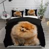 Bettbezug-Set (1 Bettbezug + 2 Kissenbezüge) Niedliches Bettwäsche-Set mit Pomeranian-Hundemotiv für Schlafzimmer und Gästezimmer