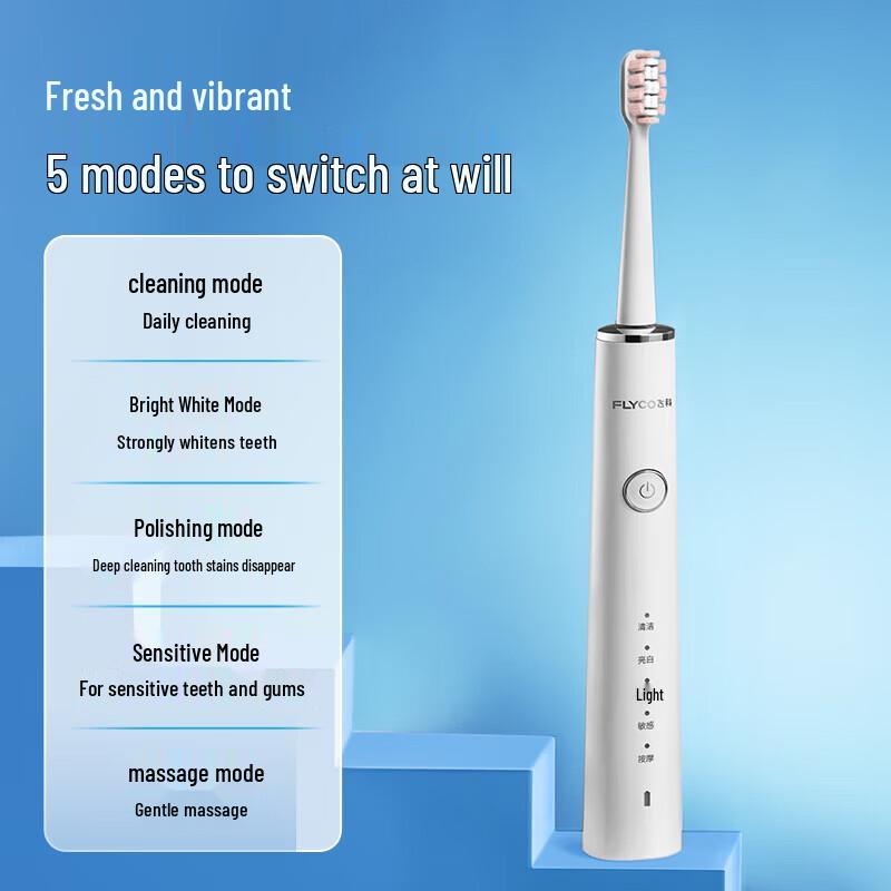 Flyco FT7208 Sonic Electric Toothbrush CN Plug (adapter Included)