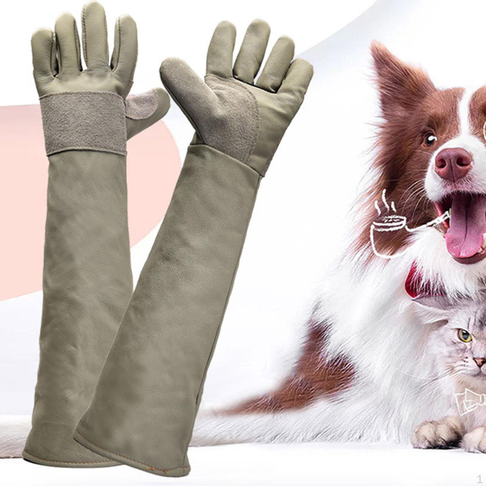 

Pet Handling Gloves Anti Tear Practical Grooming Dog Bite for Veterinarians 45cm