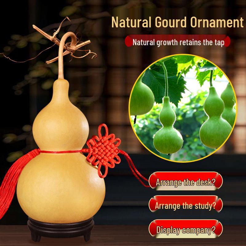 Přívěsek z pravé tykve Feng Shui: Přírodní ozdoba přitahující bohatství pro vstup, obývací pokoj nebo kancelář.