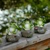 3pcs/set Frogs Statues Sitting on Stone Sculptures Mini Yard Frogs Stone Ornaments Turquoise Home Decor Accessories Resins