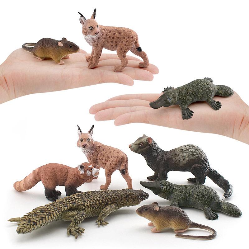 Simulation Model Short-Tailed Bobcat Red Panda Platypus Ferret Mouse Spiny-Tailed Rock Lizard Reptile Ornament