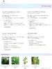 kurahooon Flowdia Scalp Shampoo Moist 350ml Treatment 350g with kurahooon Cotton Set 2-Pack +