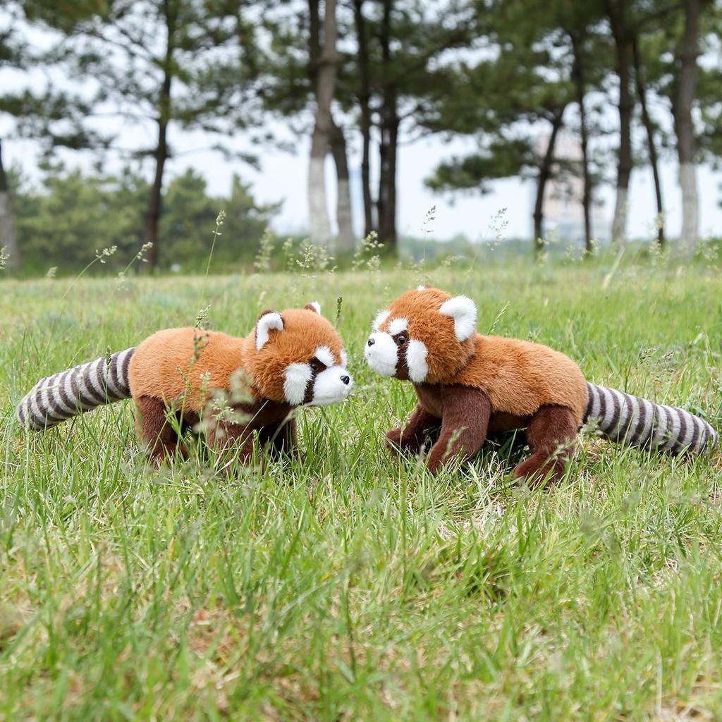 Red Panda Raccoon Animal Plush Fluffy Exterior Children Room Decoration Comfort
