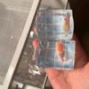 TPR Swimming Pool Squeeze Toy Relaxation Relieve Anxiety Slow Rebound Fidget Toy Stress Relief Random Style TPR Anxiety Toy