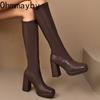 Platform Thick Heel Women Knee High Boots Fashion Slip On Shoes Autumn Winter Ladies Elegant Stretch Slim Long Booties