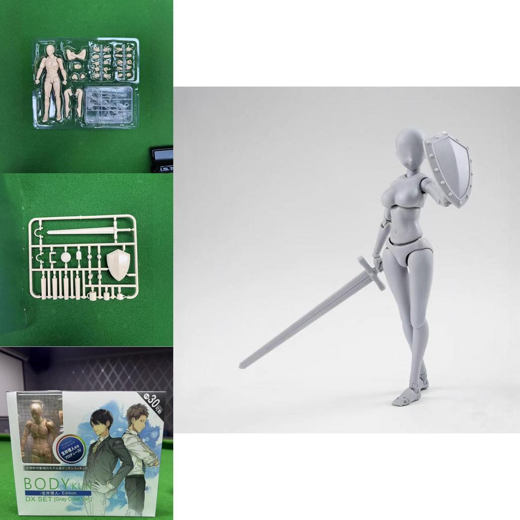 Takarai Rihito Prime Body Model With Articulation For Manga Illustration And Display