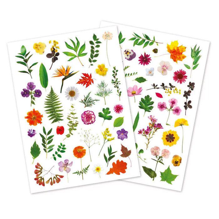 Gommettes - Non spécifié - Herbier - 73 pièces - 1,2 à 6 cm - Multicolores