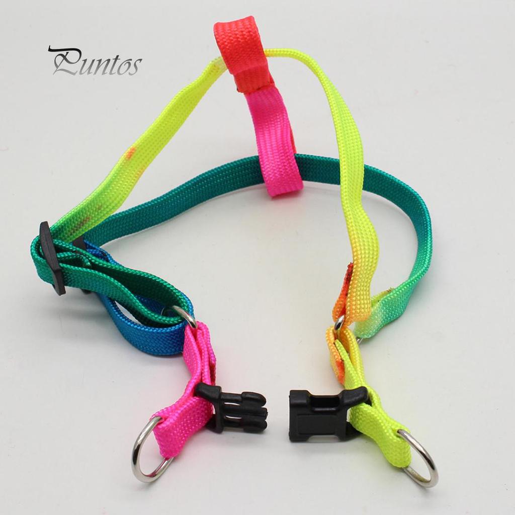 Pet Strap Puppy Chest Harness With Lead Leash