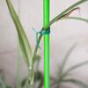 20/50/100m Garden Cable Ties Plant Climbing Lines Flower Plant Support Strap Tie Plant Bundle Iron Wire Plant Twist Ties