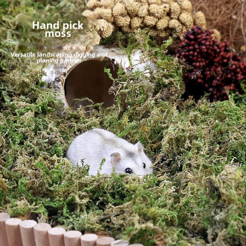 Golden Bear Trockenmoos Einstreu für Hamsterkäfige - Ideal zum Nisten, Graben, Geruchsneutralisieren und zur Landschaftsgestaltung mit Kokoserde