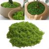 Potted Plant, Crafts, Lightweight Tank Decoration, DIY Artificial Block, Realistic Green Plants for