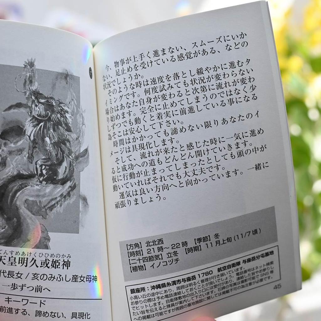 Carte Dragonul Zodiacal Ryukyu Explicație Japoneză Inclusă Carte Oracol Ghicirea Zeului Dragon Carte Okinawa (Noua editie) (Seria Oracle)