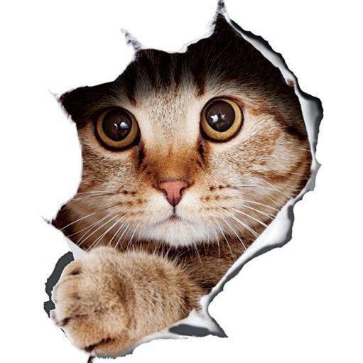 Simulation Creative Personality Cute Cat Car Stickers Animal Car Decoration Car Body Glass Rear Decoration Covering Scratches