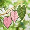 Thickened Kitchen Towel Leaf Absorbent Towel New Hand Towel  Home Accessories