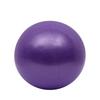 25cm Pilates Yoga Ball Explosion-proof Indoor Balance Exercise Gym Ball Fitness Equipment For Yoga Pilates Ballet