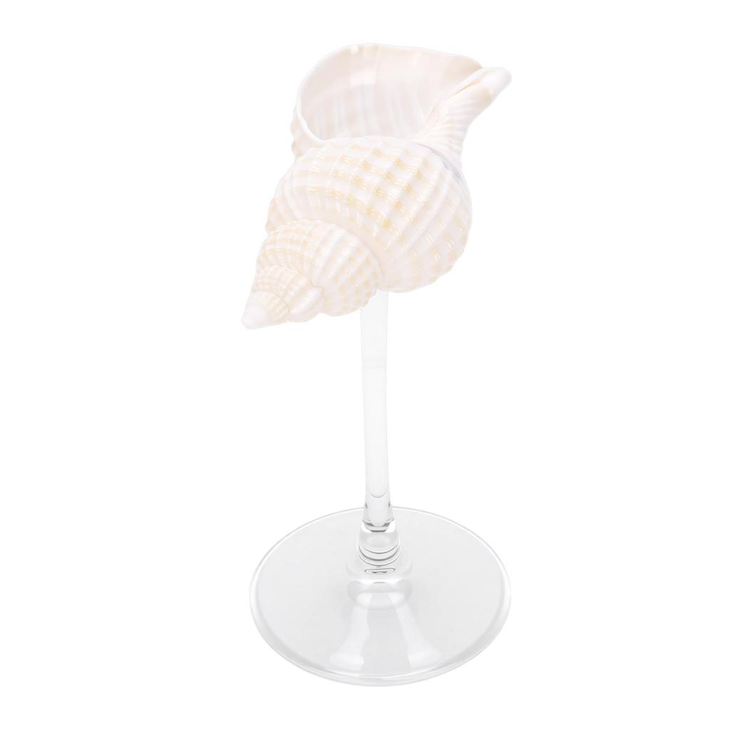 Conch Shell Wine Glass Elegant Unique Creative Drinking Goblet Cocktail Drinks Cup for Wedding Party Bar