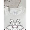 European Sizes Girls' Crewneck Sweatshirt Cute Rabbit And Hedgehogs Pattern, Spring And Autumn, Sportswear And Casual, Soft, for Kids & Teens.