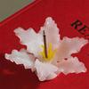 Colourful Glass Incense holder ornaments value girl pink flower ins style glass incense holder
