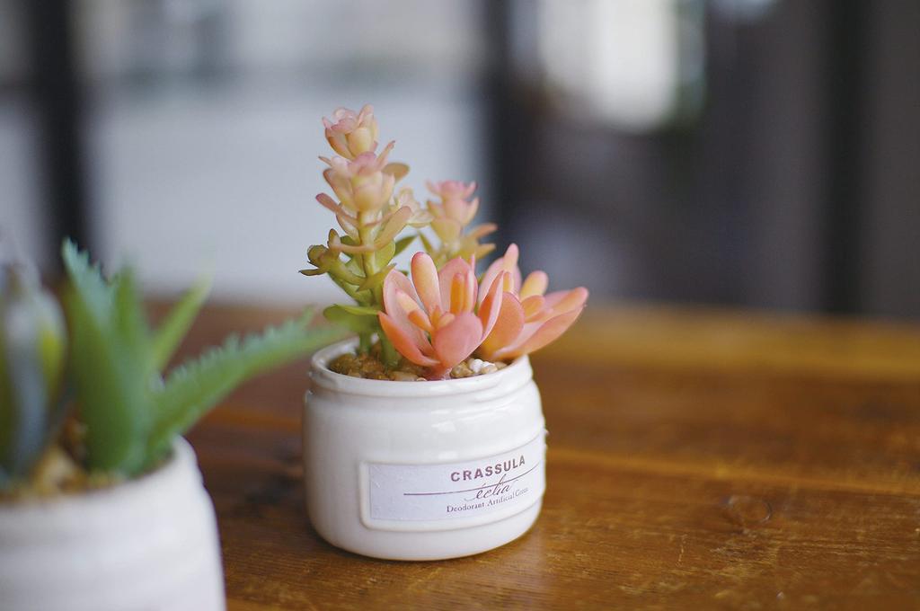 Kishima Eclea Deodorizing Artificial H10 Green, Green, Size Approx. W23.5 D7.5 Cm, KH-61189