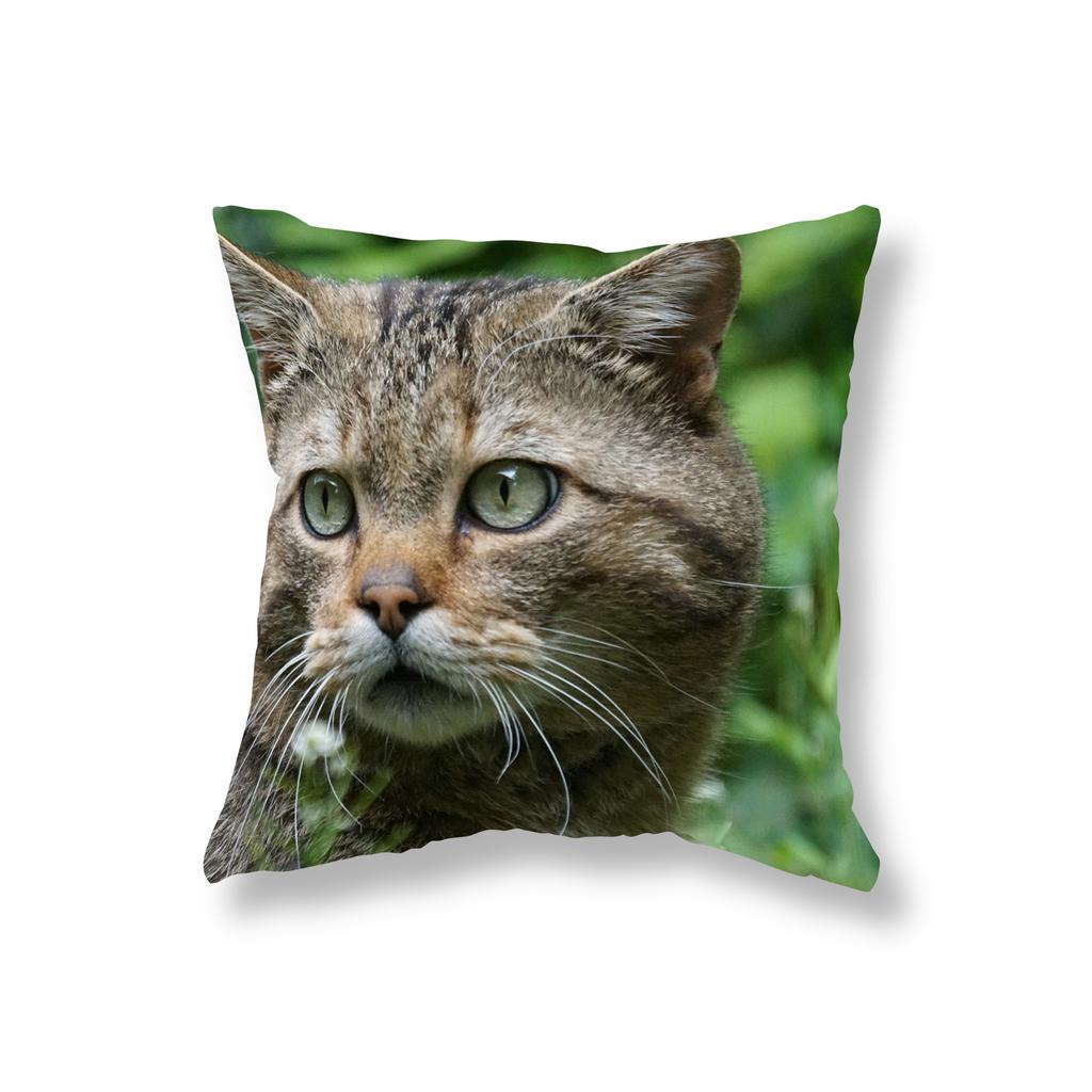 Cute Kitten Throw Pillowcase Sofa Party Decoration Office Game Chair Cushion Cover Room Bedside Home Decor Pillowcase 45x45cm