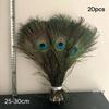 Natural Peacock Feathers 25-30cm 10-20Pcs Eco-friendly Real Plumes for Wedding Party Home Decor DIY Craft Use
