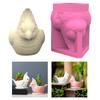Silikon Pflanzgefäßform Silikon Blumentopfform Papageienform für Sukkulententöpfe und Heimdekorationen Kreative Bastelvase