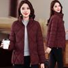 Fashion Short Warm Parka Coats Autumn Winter Cotton Clothes Women's Simple Stand Collar Cotton-padded Jacket Femme