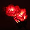 2pcs LED Solar Power Rose Flower Stake Lights Outdoor Garden Luminous Lamps