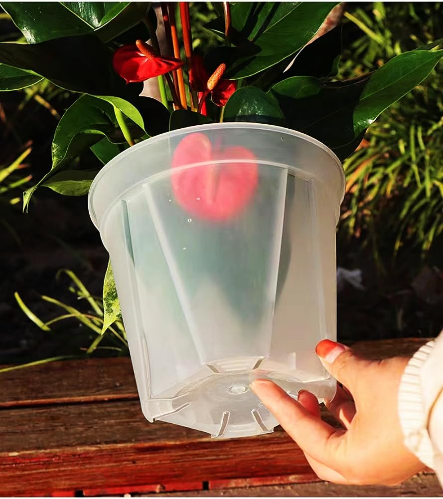 12 Pieces Yen In 3 Clear Plastic Plant Pots with Bottom Plates (365 Each) (Available Sizes) (Medium)