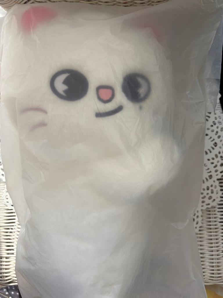 [USED] Straykids POPUP SKZOO Bag Ginillet