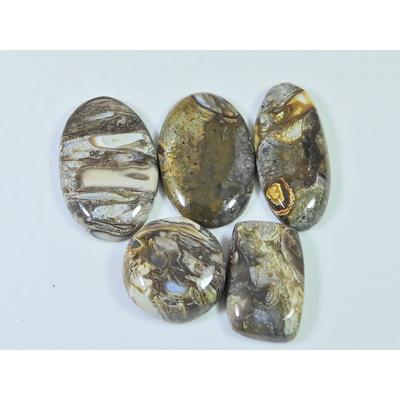 124Cts. Natural Stick Agate Mix Cabochon Loose Gemstone 5Pcs Lot 20-33 MM A-796