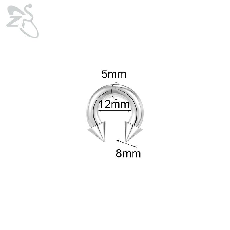 ZS 1 PC 00/0/2/4/6/8G Spike Edelstahl Nasenring für Männer Frauen Punk Großspur Septum Piercings Spike Ohr Flesh Expander