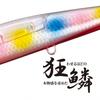 Shimano Saltwater Lure Minnow Netsuna Spin Breeze 140S Flash Boost 002 F Hirame Candy XG-814U
